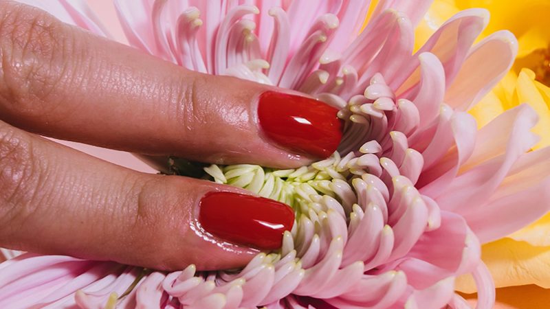 blog-vagel